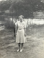 small large ponds fish for sale  Wilbraham