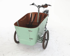 Cargo bike elektro gebraucht kaufen  Kerpen