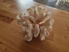 Coral reef ornament for sale  NEWRY