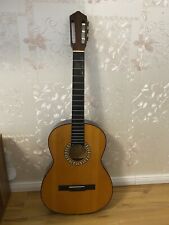 Gitarre pro arte gebraucht kaufen  Hamburg