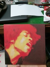 The jimi hendrix usato  Vignola