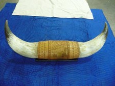 Extremely large mounted for sale  Ubly