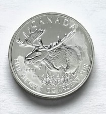 canadian moose for sale canadian moose for sale Mason
