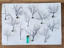 Sea fan medium for sale  WEYMOUTH