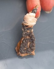 Baryt cerussit galenit gebraucht kaufen  Rehburg-Loccum