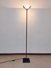 Flos papillona afra usato  Zignago