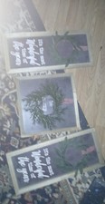 Christmas pic set for sale  Danville
