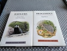 Hedgehogs reeve nigel for sale  SHEFFIELD