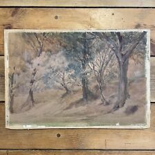 Antique watercolour painting for sale  CRANLEIGH