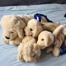 Andrex puppy soft for sale  SEDBERGH