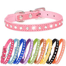 Dog collar suede for sale  PAISLEY