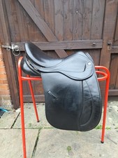 Black working hunter for sale Black working hunter for sale  OSWESTRY
