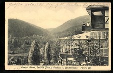 Saalfeld thür gasthaus gebraucht kaufen  Berlin