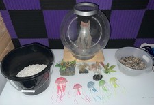 Biorb litre fish for sale  DAGENHAM