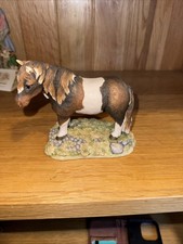 Little pony teviotdale for sale Little pony teviotdale for sale  TELFORD