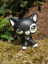 Littlest petshop chat d'occasion  Évreux
