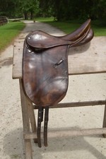 Marbled brown dressage for sale  Midway