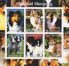 Shetland sheepdog dog d'occasion  Expédié en Belgium
