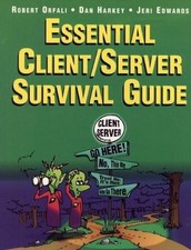 Essential client server gebraucht kaufen  Stuttgart