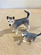 dog siberian husky for sale dog siberian husky for sale Omaha