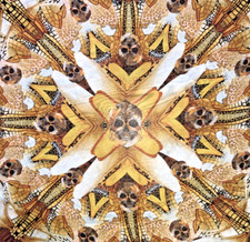 Alexander mcqueen silk for sale  Brenham