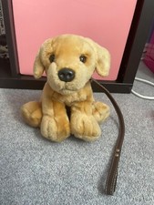 Keel golden labrador for sale  DALKEITH