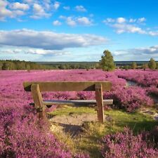 Kurzurlaub lüneburger heide gebraucht kaufen  Hamburg