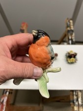 Dompfaff goebel gebraucht kaufen  Hildesheim
