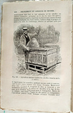 1906 hommell apiculture d'occasion  Corbigny