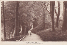 Shaftesbury. postcard pine for sale  ROTHERHAM