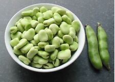Broad bean sutton for sale  DARLINGTON