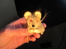 Steiff maus pieps gebraucht kaufen Steiff maus pieps gebraucht kaufen  Glinde