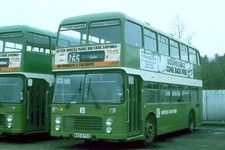 United counties ecw for sale  HUDDERSFIELD