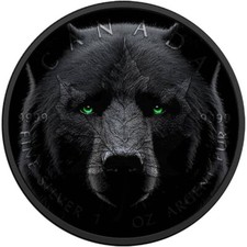 Black bear 2024 gebraucht kaufen  Neuenstein