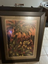 Picture palm trees for sale  Navarre