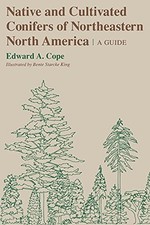 conifers native trees for sale conifers native trees for sale Boston