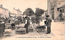 Cpa animee debut d'occasion  Nîmes