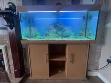juwel aquarium 60 for sale juwel aquarium 60 for sale BRISTOL