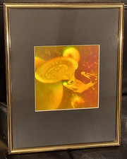 Star trek enterprise for sale  Flint