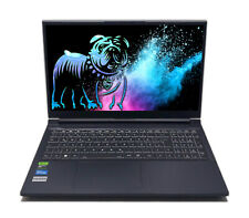 Clevo v150rne notebook gebraucht kaufen  Magdeburg