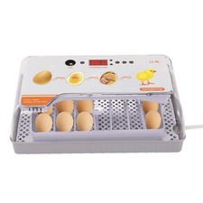 Incubator hatching eggs for sale  Milwaukee