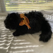 Moonstruck black cat for sale  Billerica