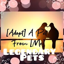 Adopt today legendary for sale  Walker