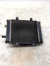 Radiatore acqua completo usato  Italia