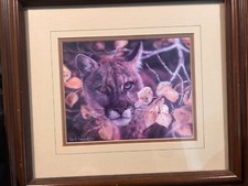 vivi crandall for sale  Encino