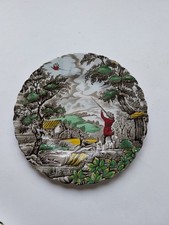 Vintage plates hand for sale  UCKFIELD