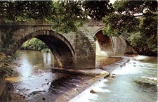 Real photographic postcard for sale  HARROGATE