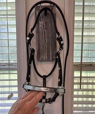 Weanling show halter for sale  Chipley