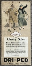 Dri ped cheery for sale  YORK