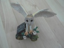 taxidermy barn owl for sale  PRESTON